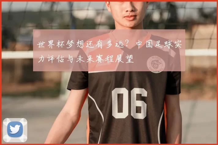 世界杯梦想还有多远?中国足球实力评估与未来赛程展望