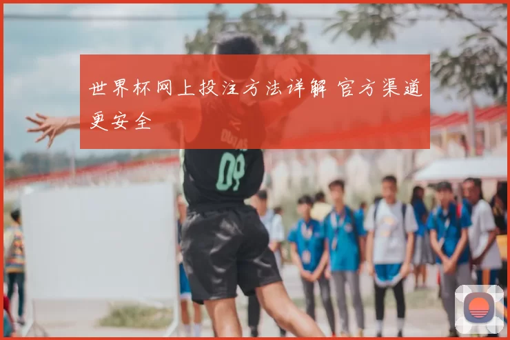 世界杯网上投注方法详解 官方渠道更安全