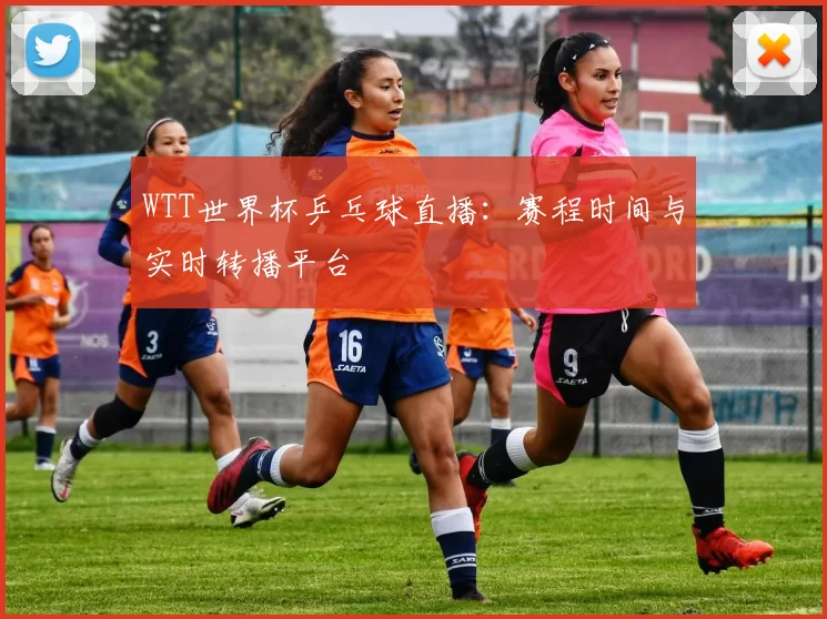 WTT世界杯乒乓球直播：赛程时间与实时转播平台