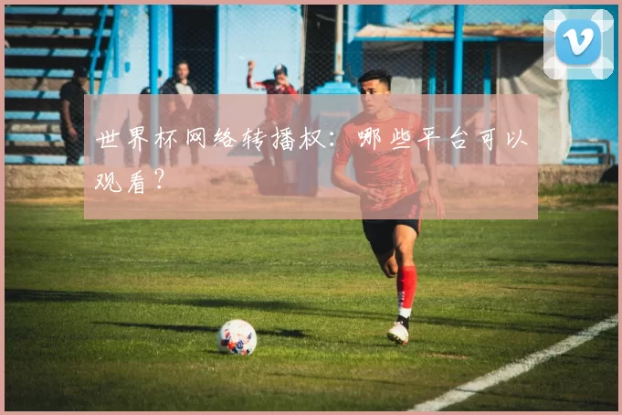 世界杯网络转播权：哪些平台可以观看？