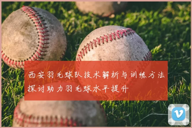 西安羽毛球队技术解析与训练方法探讨助力羽毛球水平提升