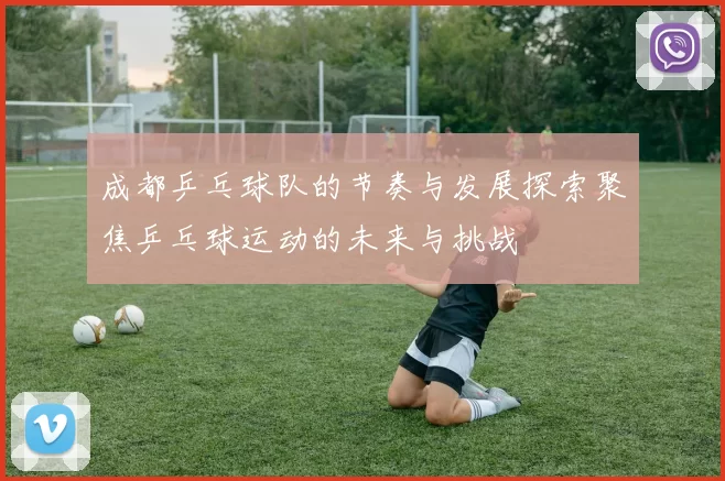 成都乒乓球队的节奏与发展探索聚焦乒乓球运动的未来与挑战