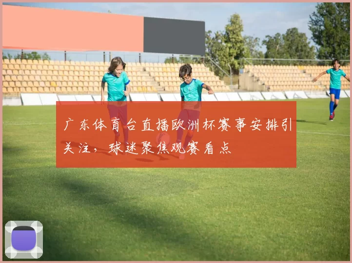 广东体育台直播欧洲杯赛事安排引关注,球迷聚焦观赛看点