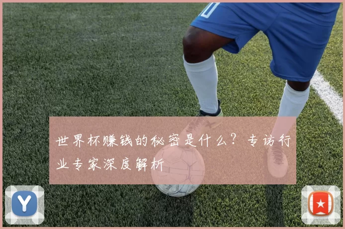 世界杯赚钱的秘密是什么?专访行业专家深度解析