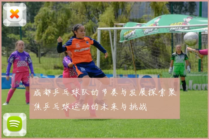 成都乒乓球队的节奏与发展探索聚焦乒乓球运动的未来与挑战