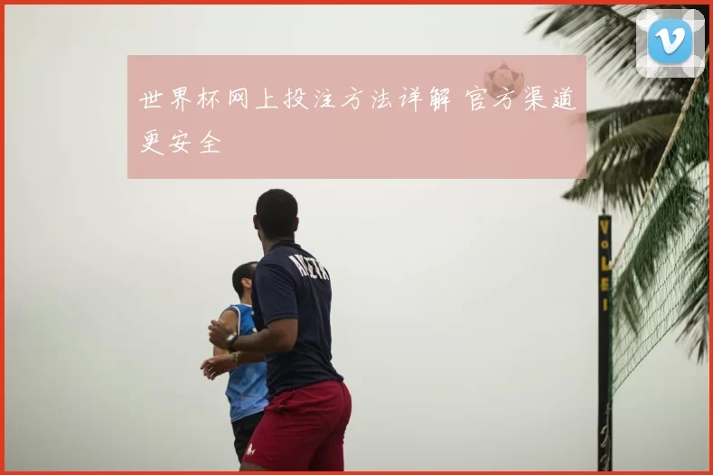 世界杯网上投注方法详解 官方渠道更安全