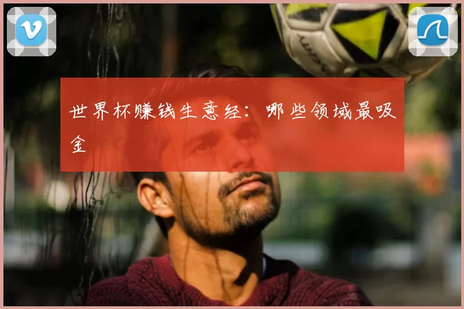 世界杯赚钱生意经:哪些领域最吸金