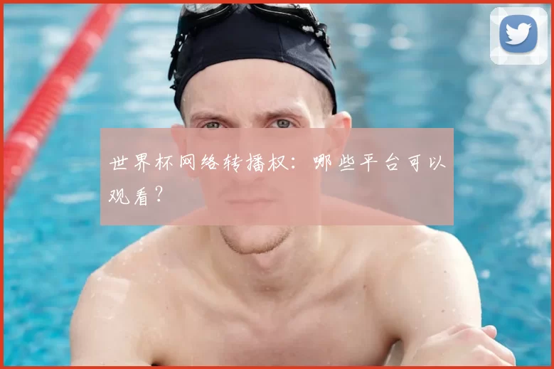 世界杯网络转播权:哪些平台可以观看?